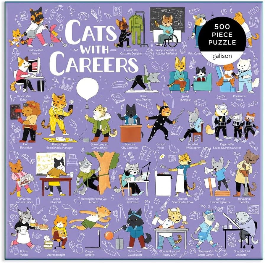 Top view of box for cats with careers puzzle.