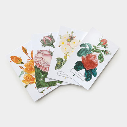 assorted Roses by The New York Botanical Garden Postcards fanned on a table