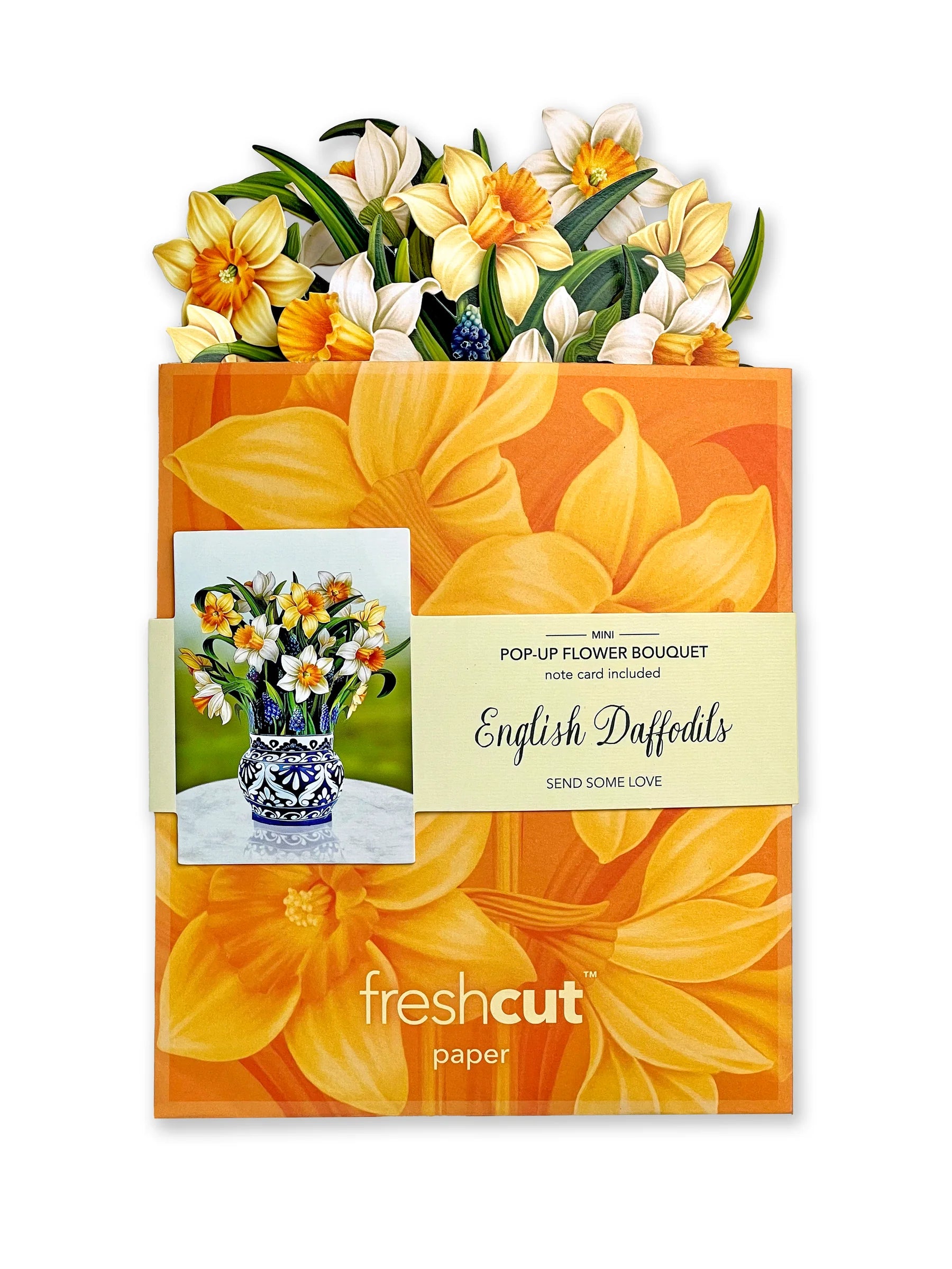 English Daffodils bouquet in its mailing envelope.