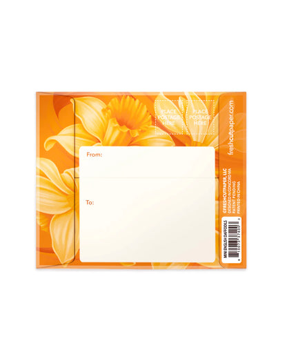 back view of orange mailing envelope.