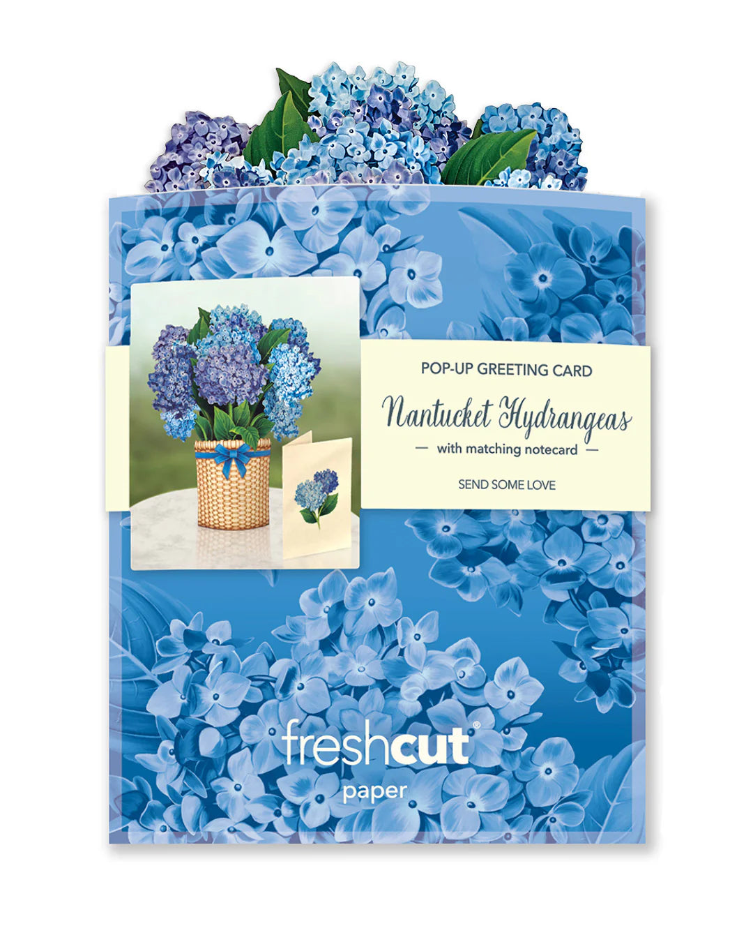 Nantucket Hydrangeas bouquet in its mailing envelope.