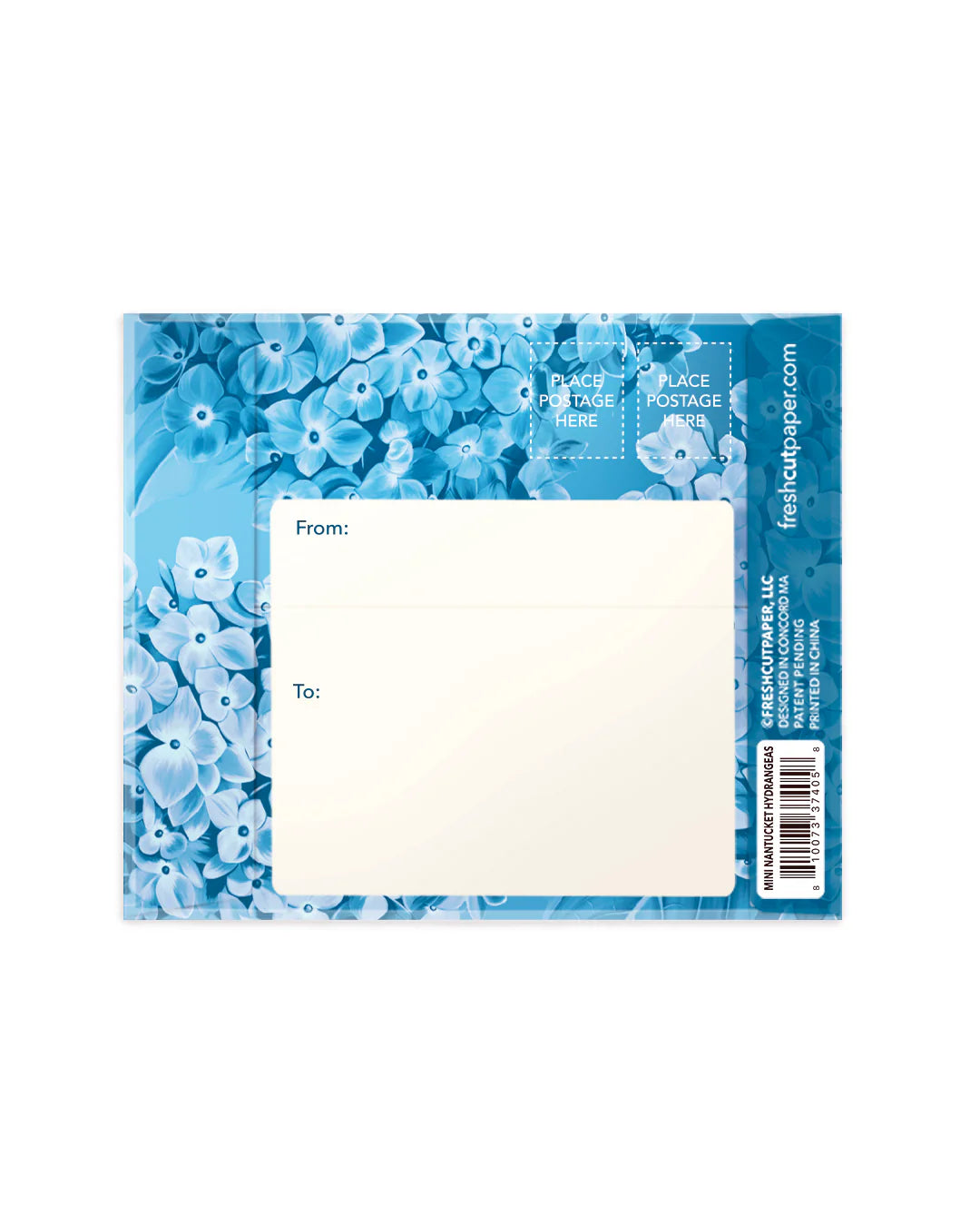 back view of blue mailing envelope.