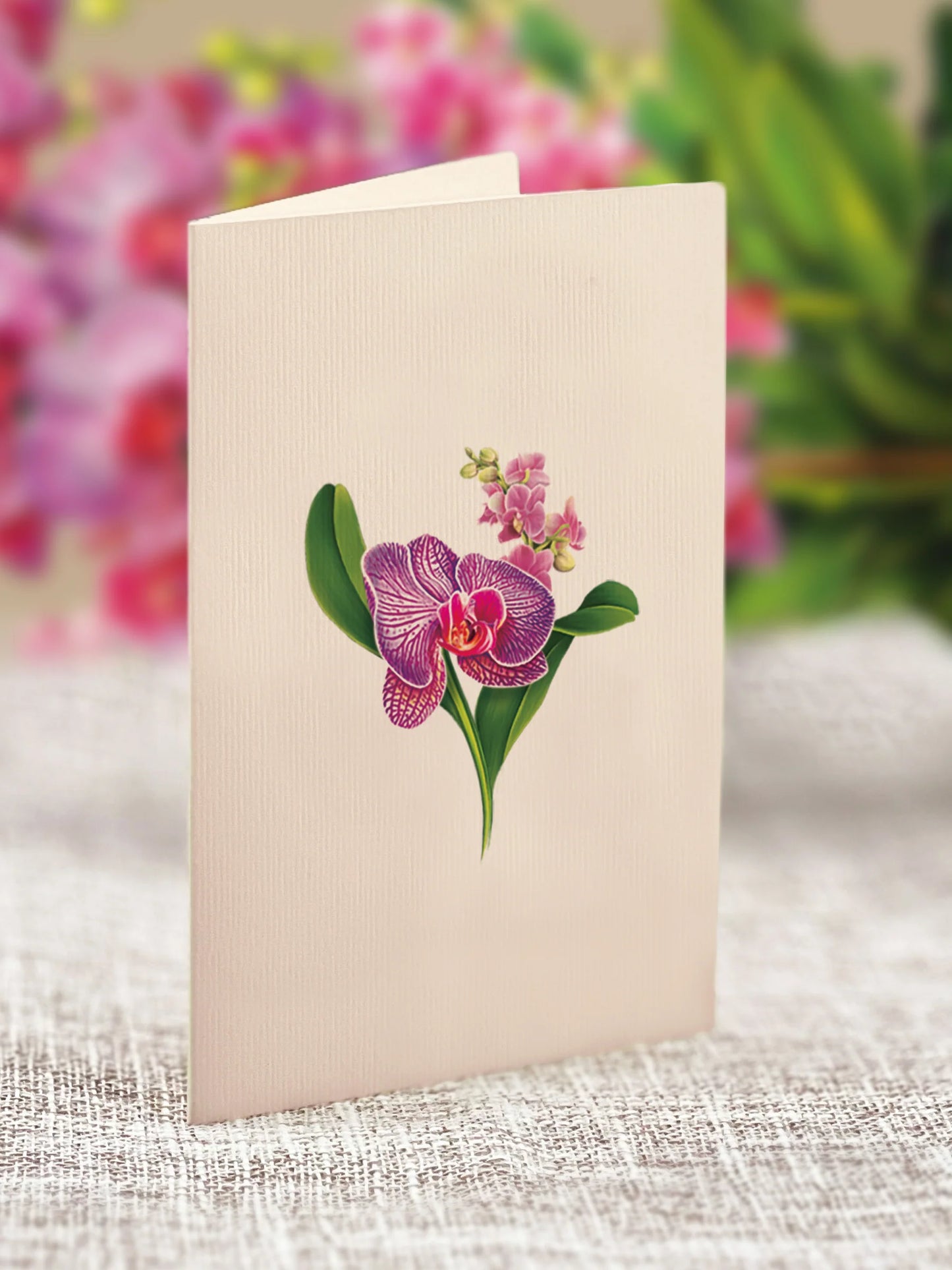 close-up of enclosure card with an orchid printed on it.