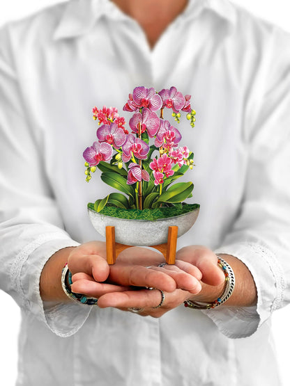 person holding Orchid Oasis pop-up bouquet in front of them.