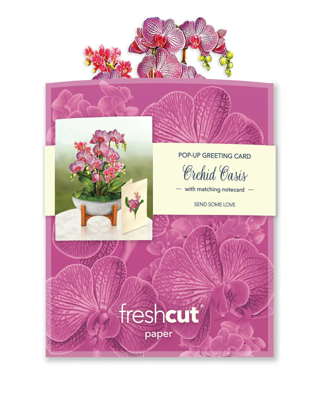 Orchid Oasis bouquet in its mailing envelope.