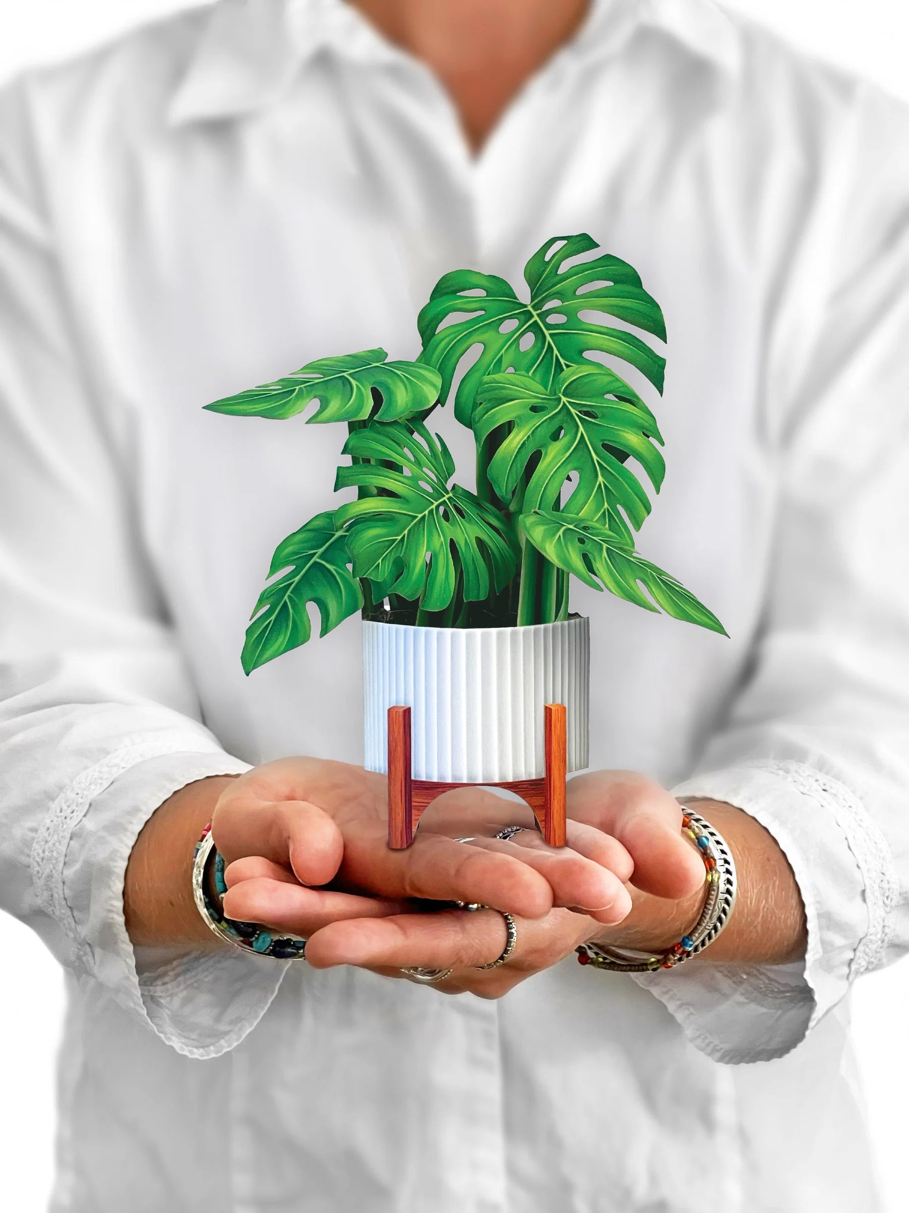 person holding Monstera pop-up bouquet in front of them.