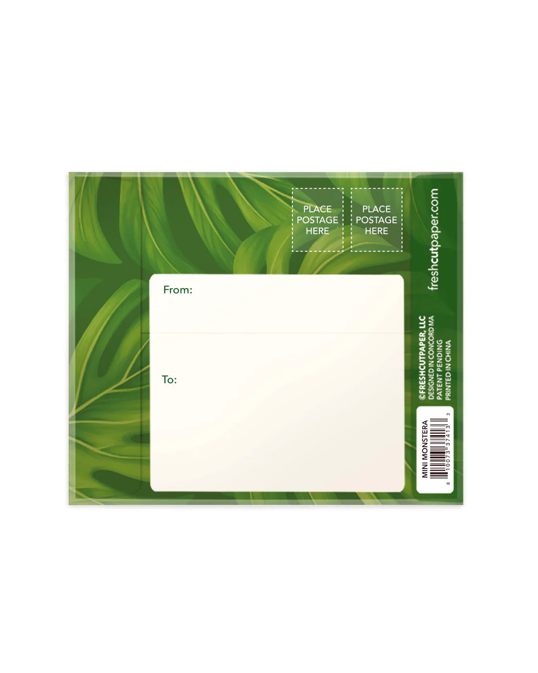 back view of green mailing envelope.