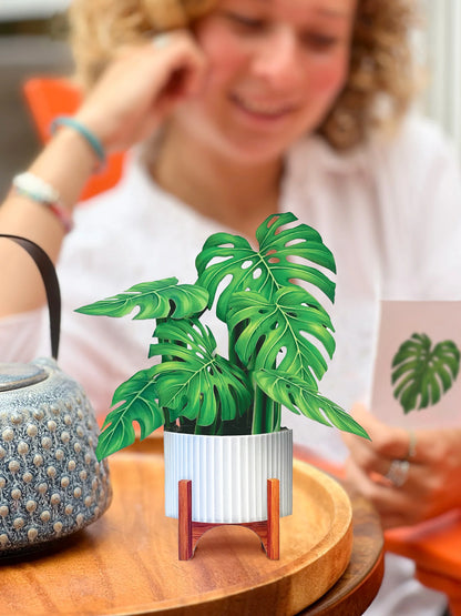 Monstera pop-up bouquet set on a table with person reading the enclosure card in the background.