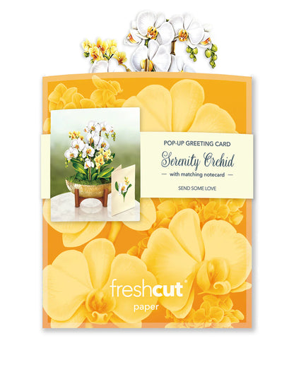 Serenity Orchid bouquet in its mailing envelope.