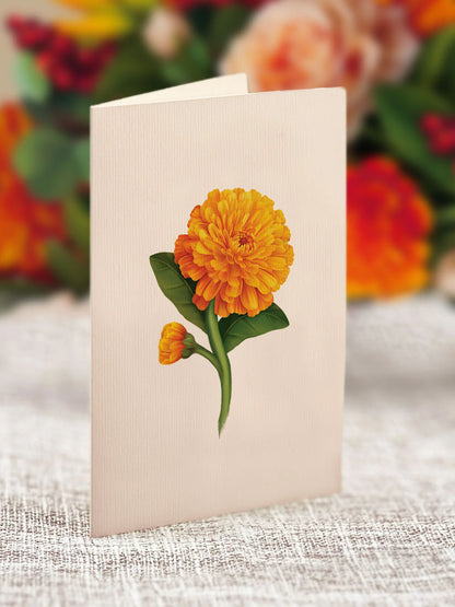 enclosure card for pumpkin spice Pop-Up Greeting Card with a yellow flower printed on it.