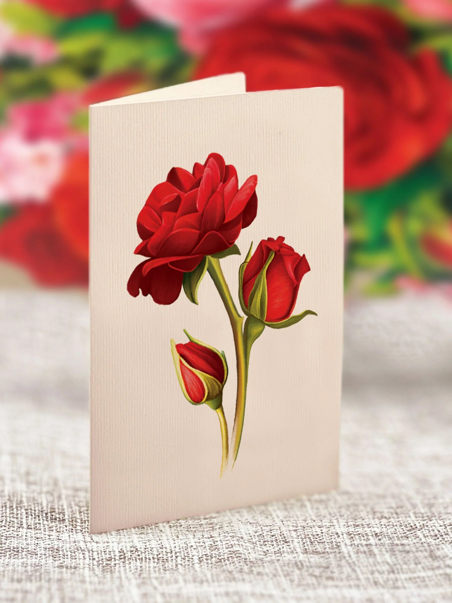 FreshCut Paper - Mini Blooming Roses Pop-Up Card – Kitchen Store & More