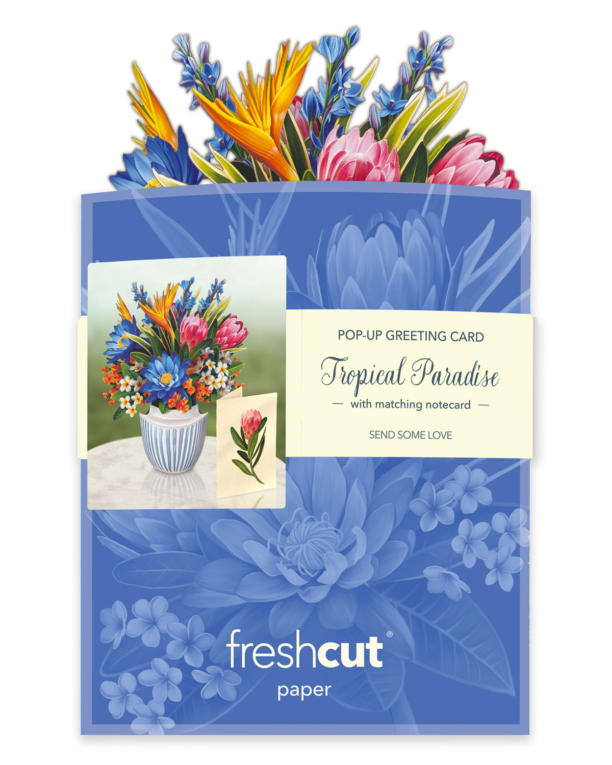 flat, mailing version of the mini tropical paradise pop up card
