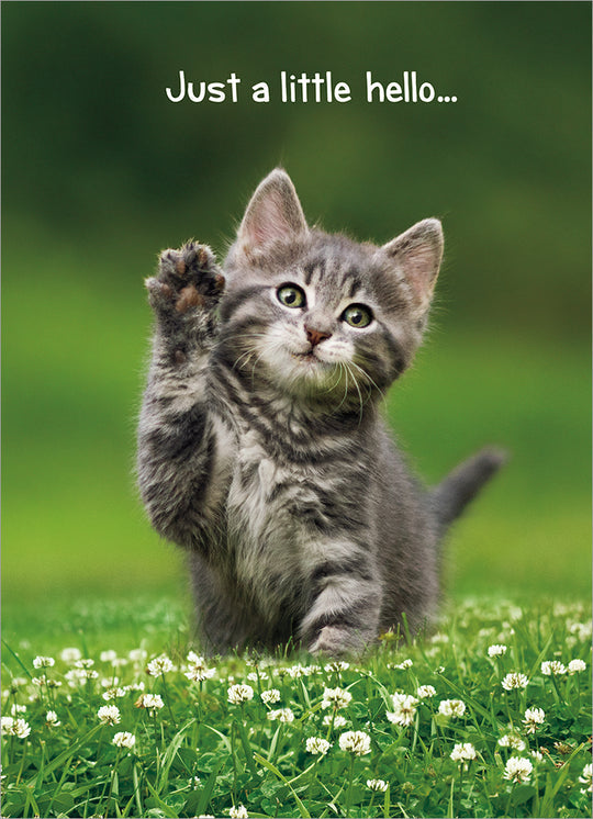 front of card has a little gray kitten in the grass with its paw up like its waving and white text listed in the description