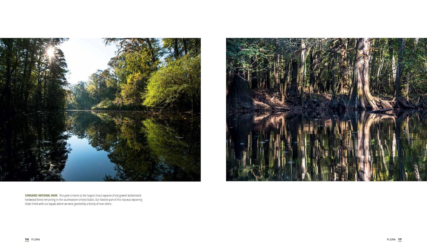 sample pages from Park Lands book with Two scenic images of a forested area with a lake, featuring reflections and natural light.