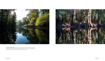 sample pages from Park Lands book with Two scenic images of a forested area with a lake, featuring reflections and natural light.