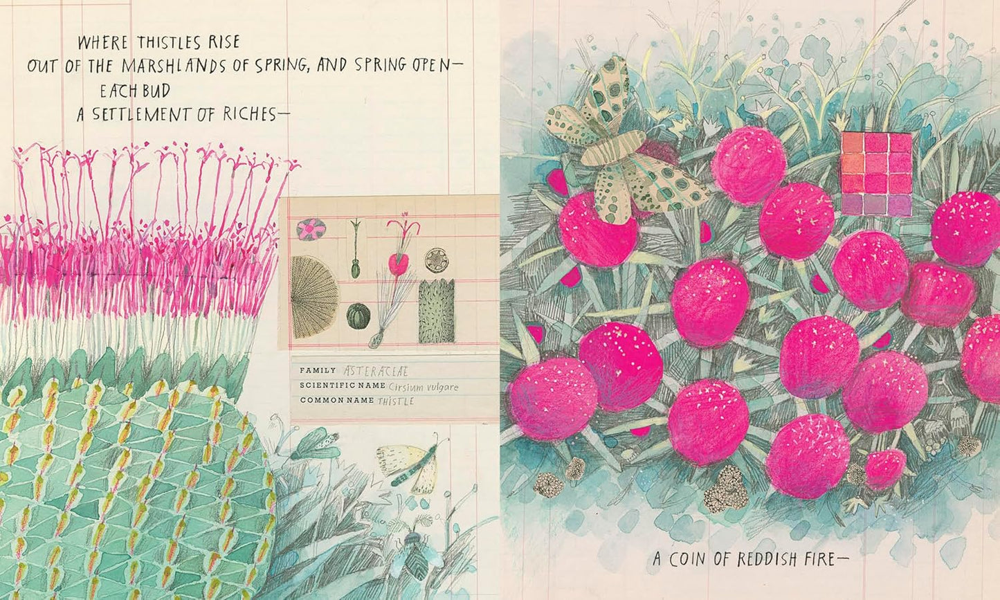 Illustrated book page with pink flowers, green leaves, and text on a blue background.