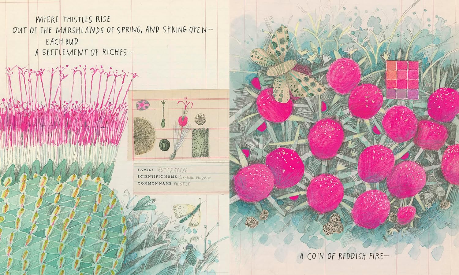 Illustrated book page with pink flowers, green leaves, and text on a blue background.