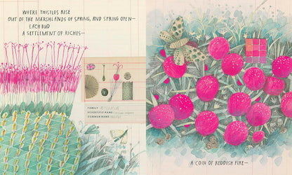 Illustrated book page with pink flowers, green leaves, and text on a blue background.