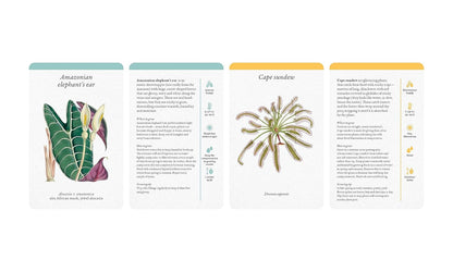 several house plant cards shown on a white background