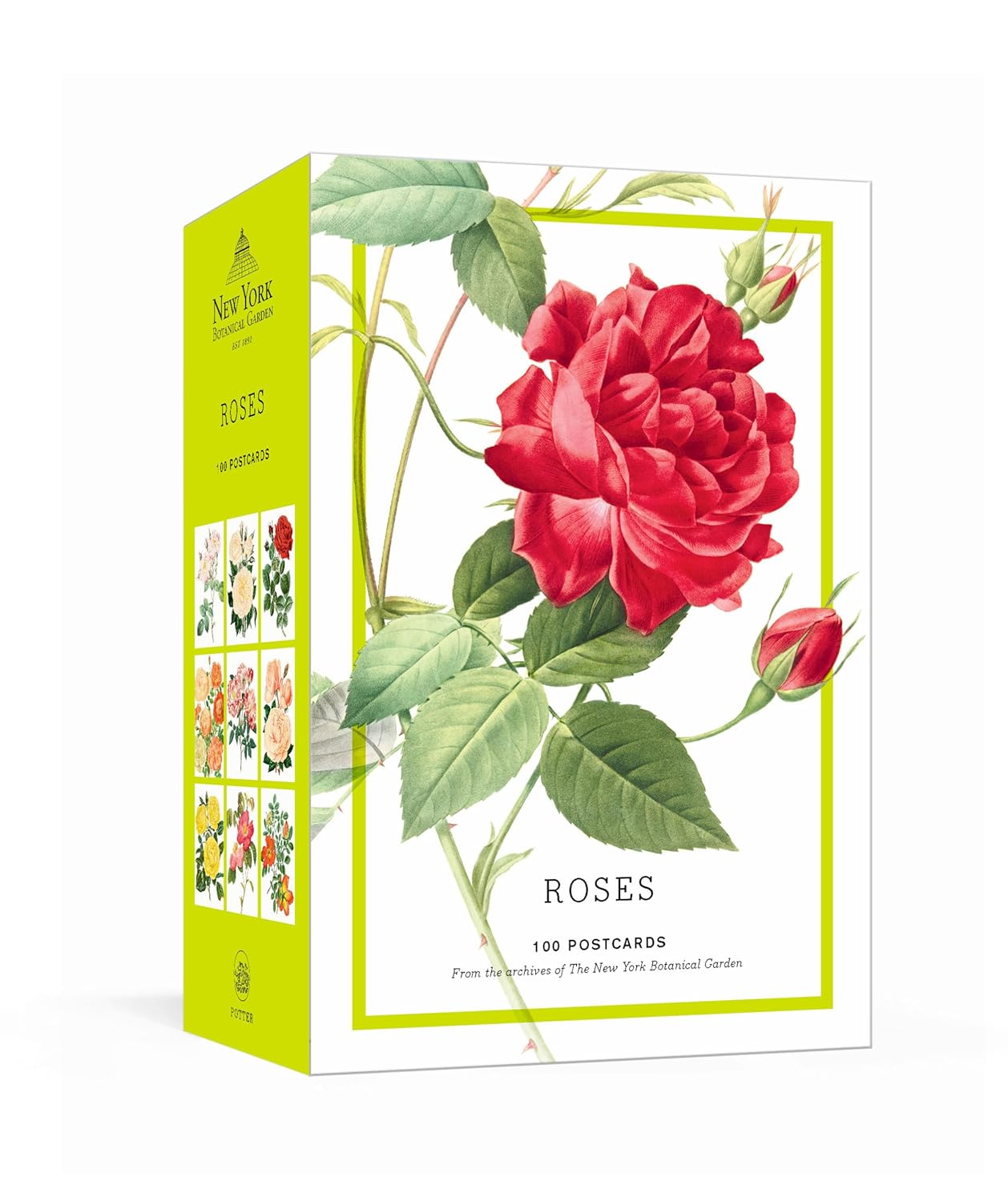 box of Roses by The New York Botanical Garden Postcards