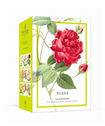 box of Roses by The New York Botanical Garden Postcards