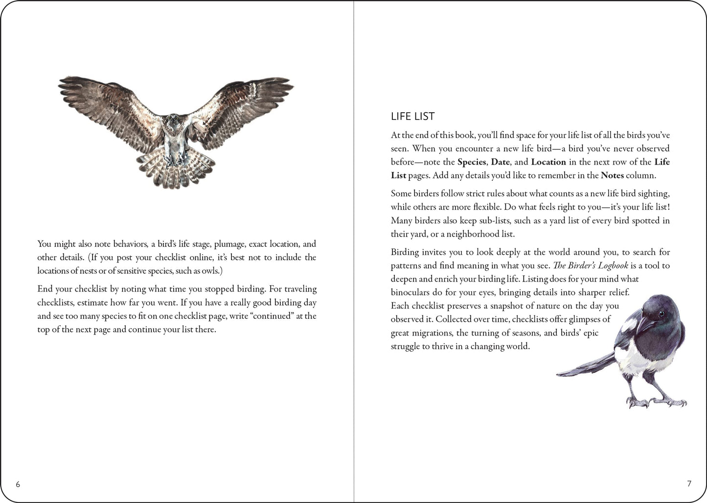 inside view of book has an owl flying with text below and text and a bird on the next one