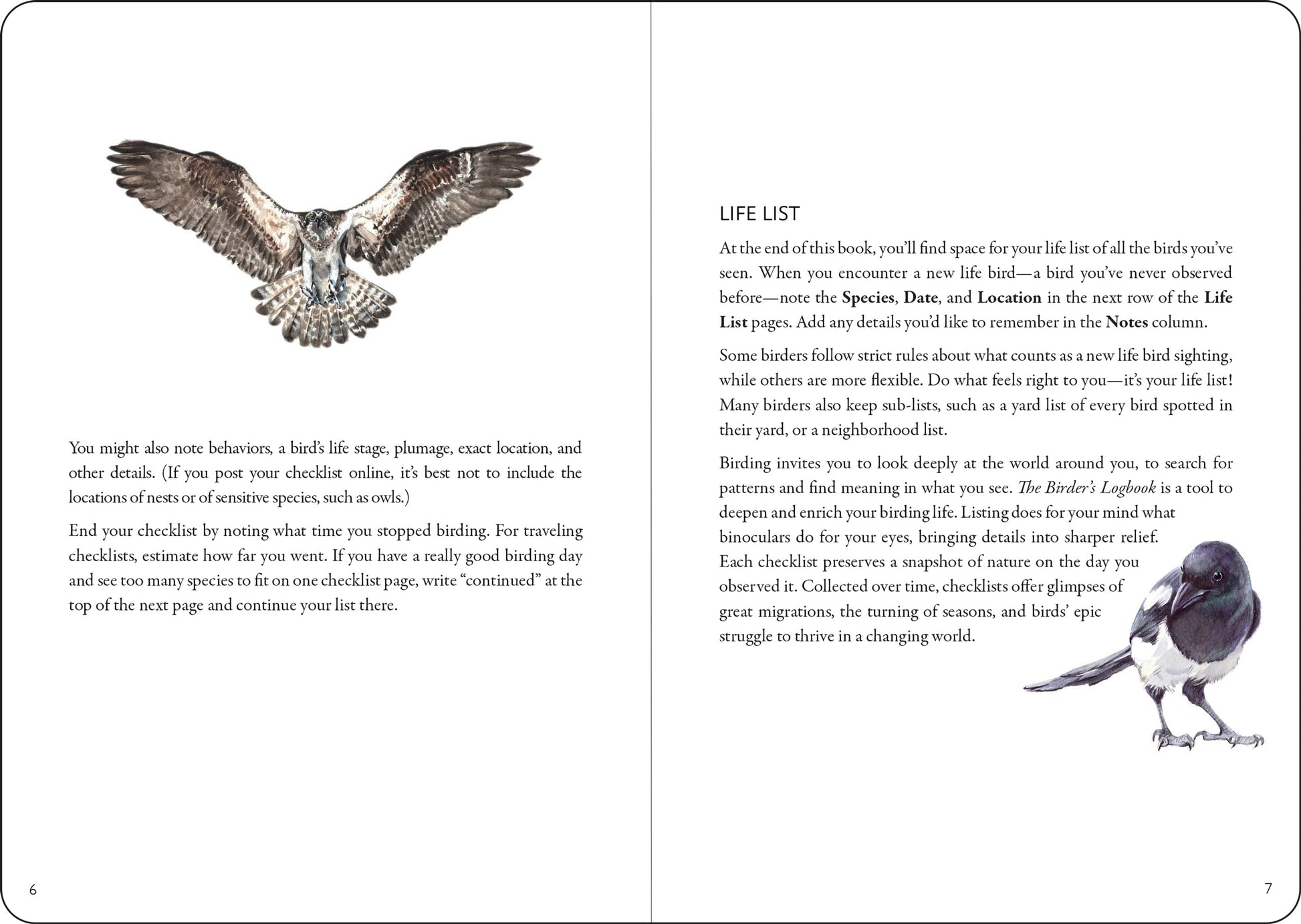 inside view of book has an owl flying with text below and text and a bird on the next one