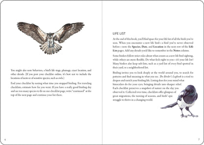 inside view of book has an owl flying with text below and text and a bird on the next one