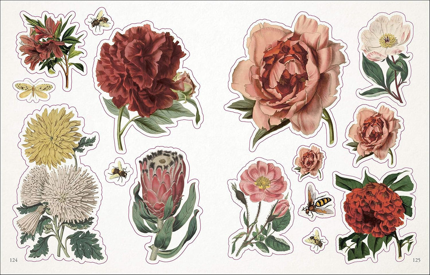 Set of floral stickers with various flowers and insects on a white background