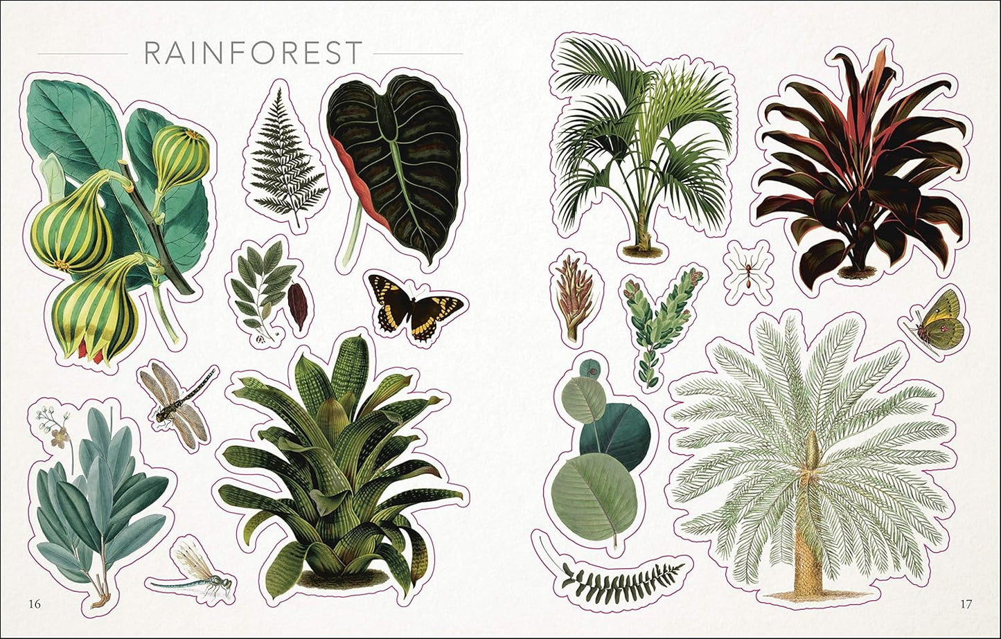 open book showing pages of stickers of Illustrations of rainforest plants and animals on a white background