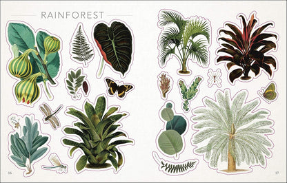 open book showing pages of stickers of Illustrations of rainforest plants and animals on a white background