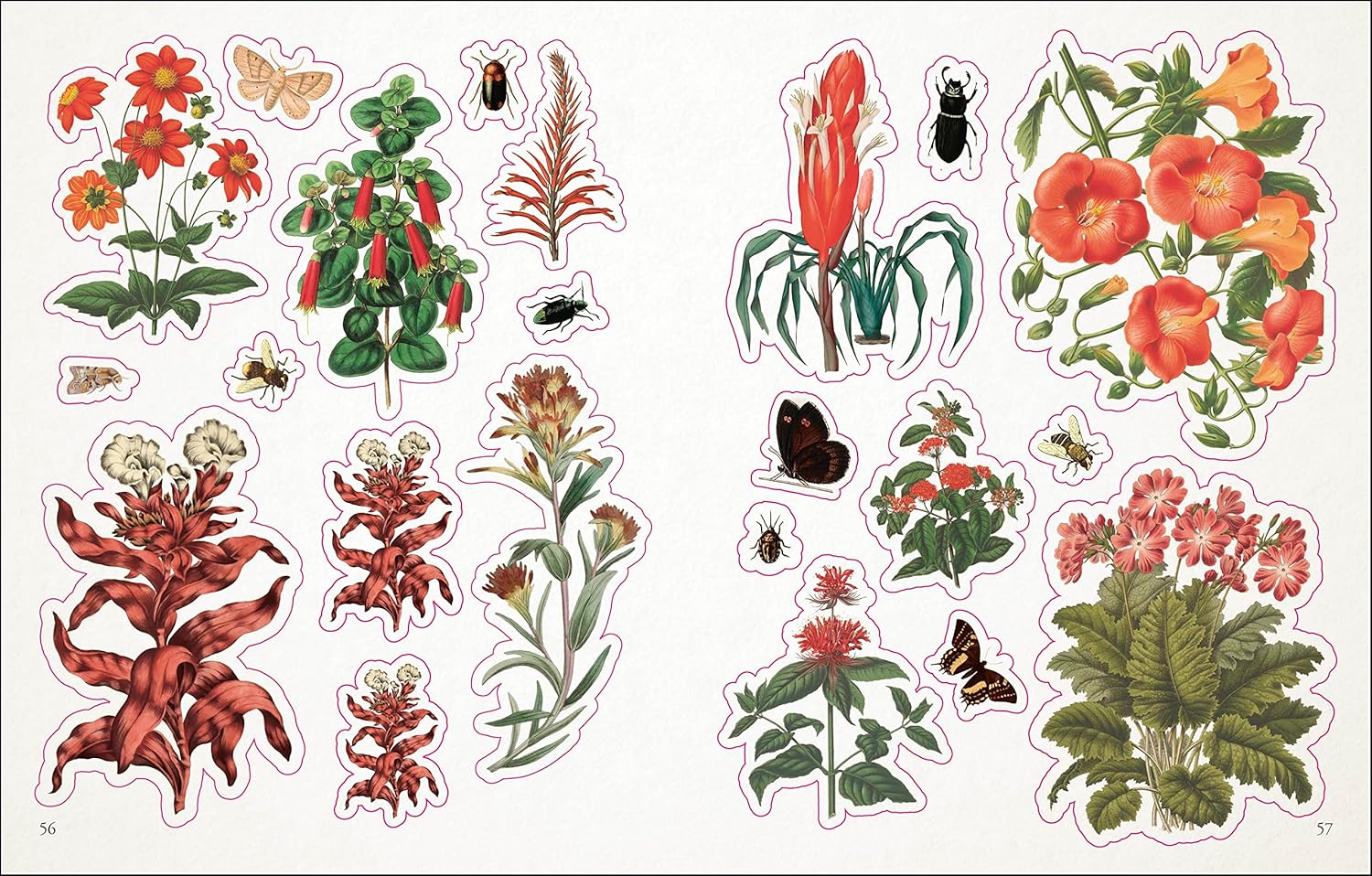 open book showing pages of stickers  of colorful floral and insect illustrations on a white background