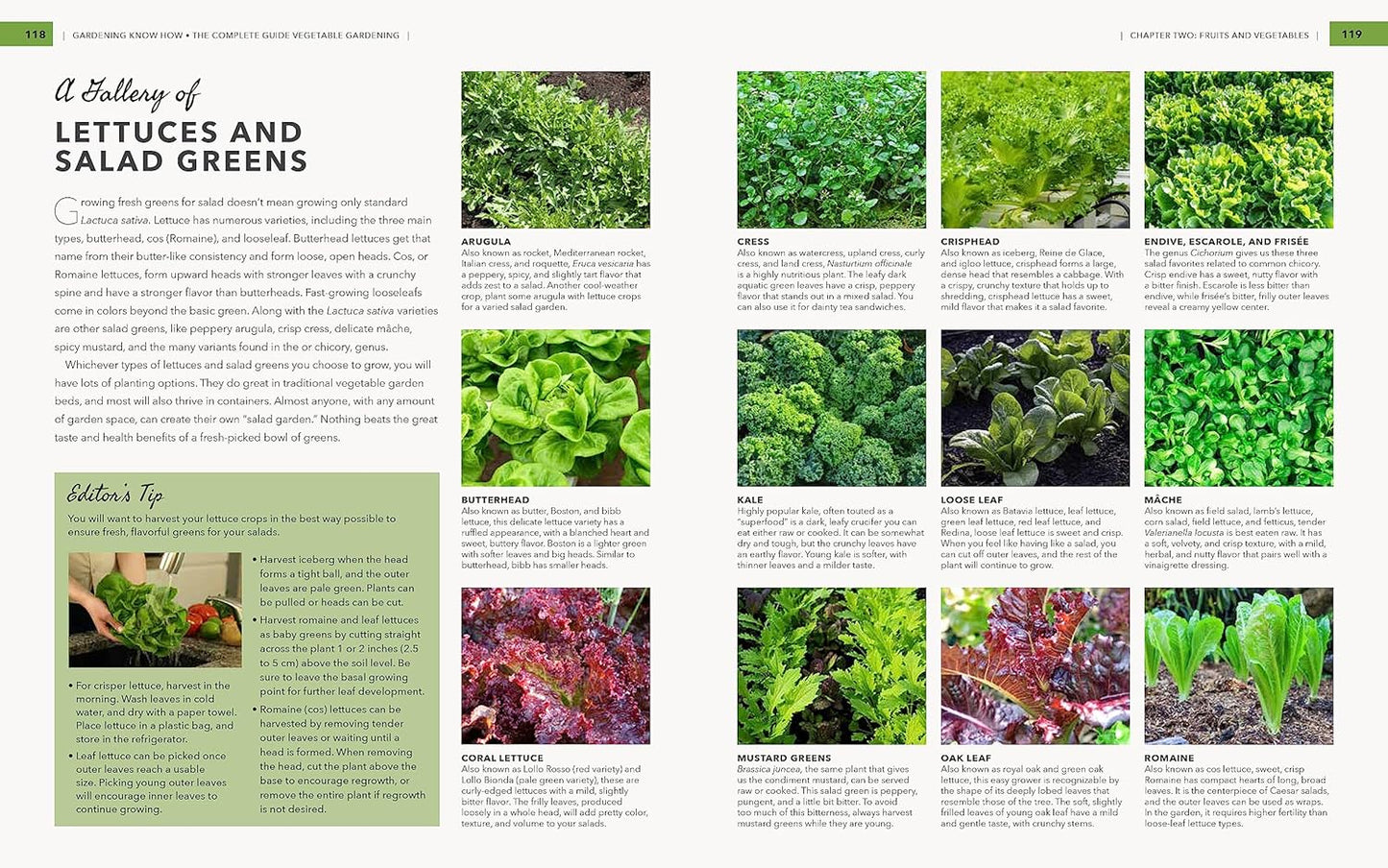 inside pages of book with text and images of lettuces and salad greens.