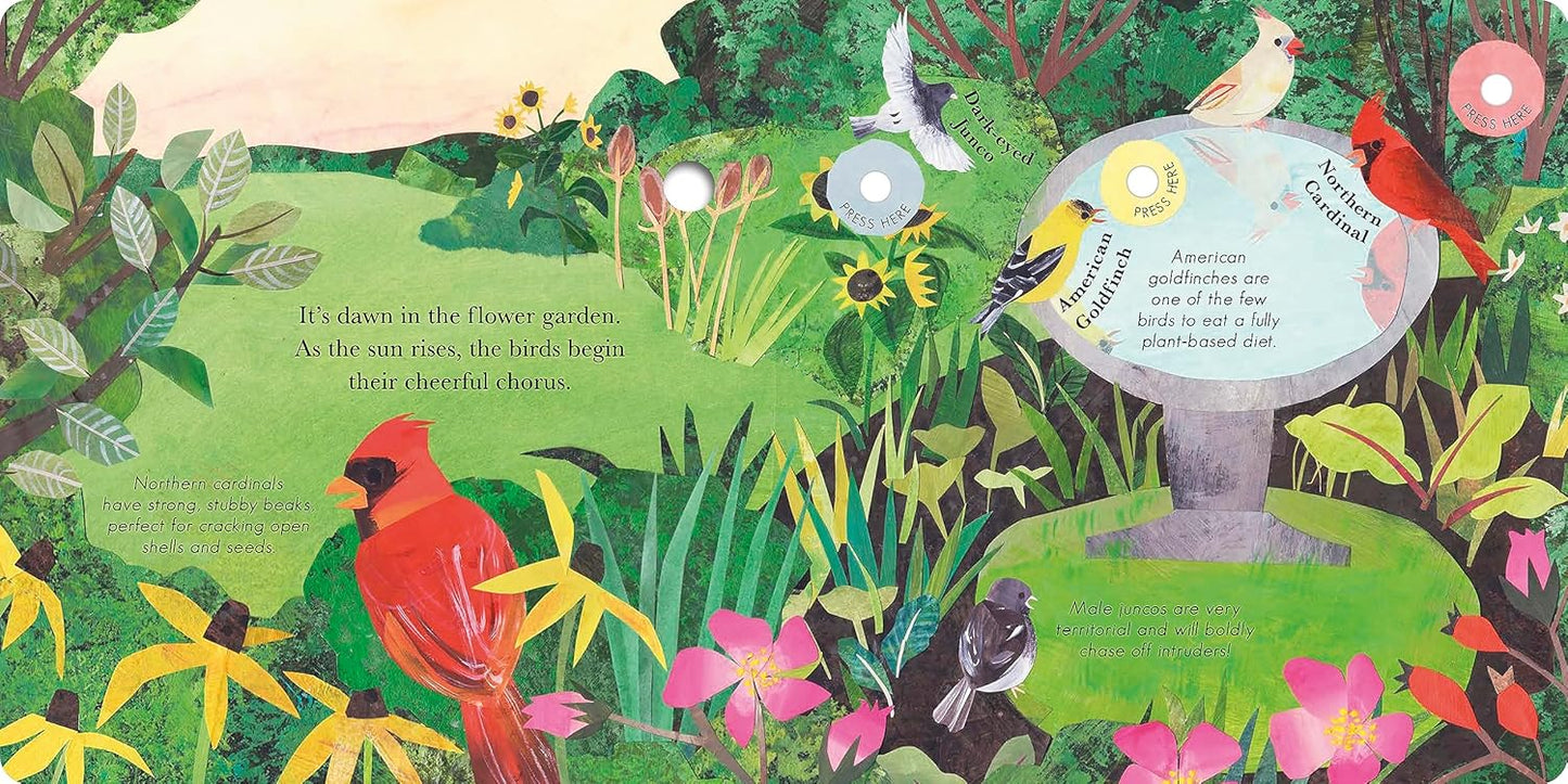 Illustrated children's book page with a garden scene, birds, and a birdhouse.