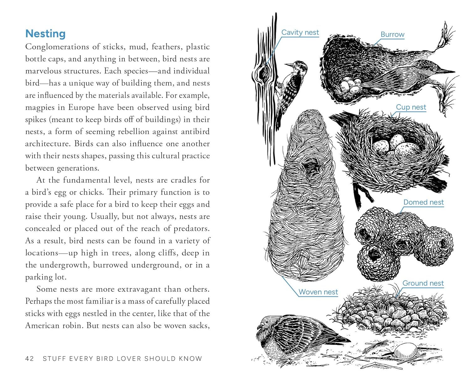 Illustration of various bird nests with text explaining nesting behavior.