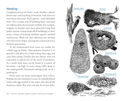 Illustration of various bird nests with text explaining nesting behavior.
