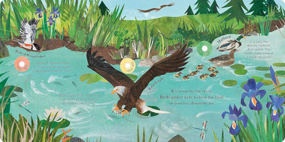 Illustrated book page with an eagle, ducks, and nature elements.