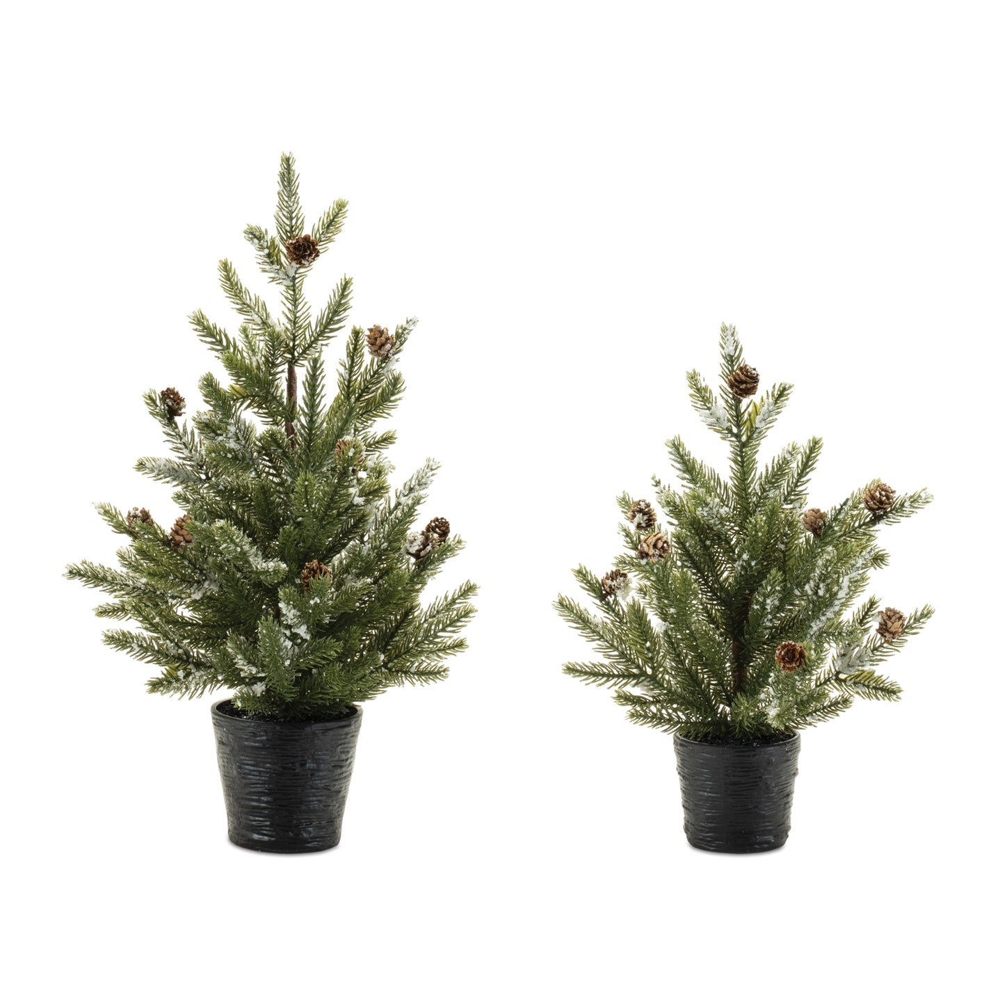 2 sizes of potted trees on a white background.