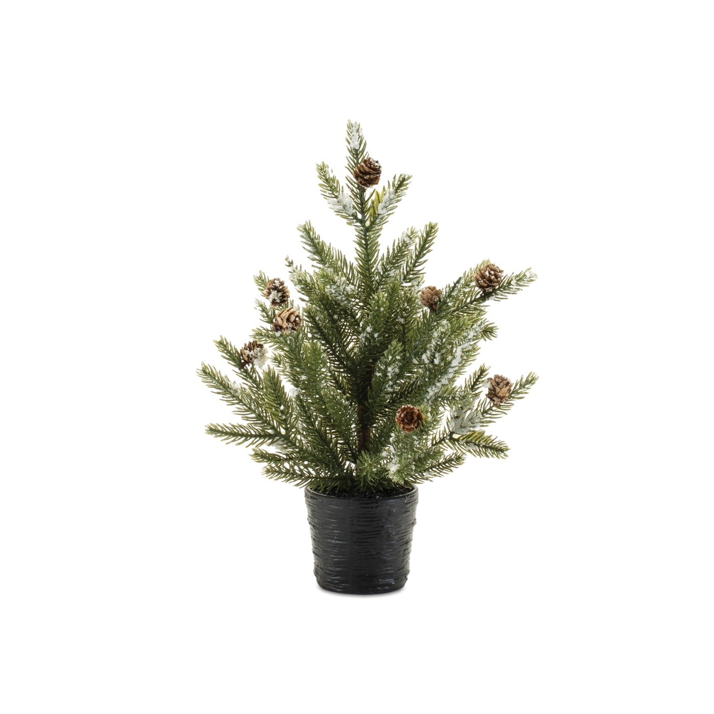 small potted trees on a white background.