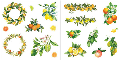 inside pages of the sticker book with citrus and floral stickers.