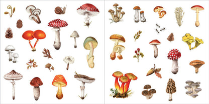 inside pages of the sticker book with mushroom stickers.