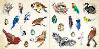 pages of sticker book with bird stickers.