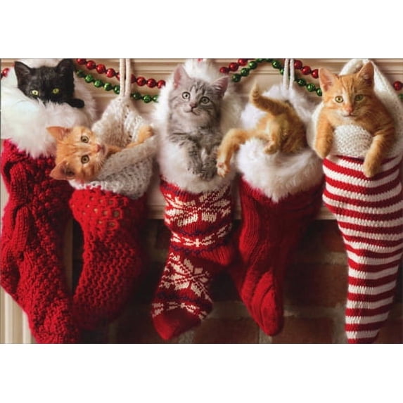 front of card is five kittens inside christmas stockings