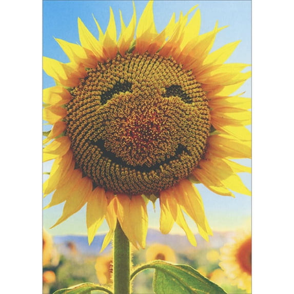 front of card is a smiling sunflower