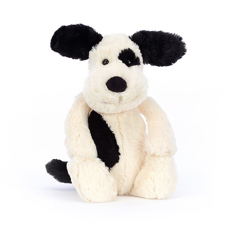 front view of the bashful puppy on a white background