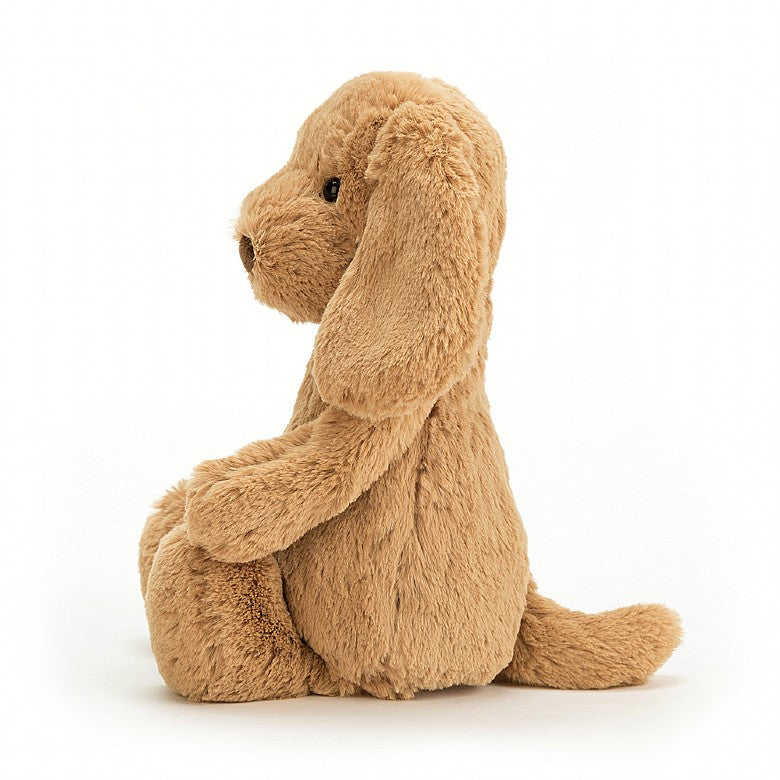 side view of the bashful toffee puppy on a white background