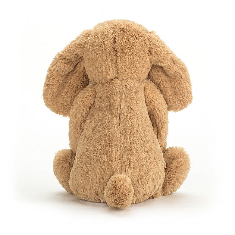 back view of the bashful toffee puppy on a white background