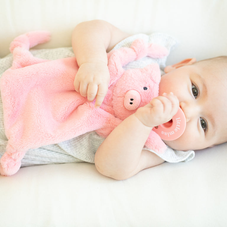 baby cuddling with pig lovey and pacifier in their mouth.