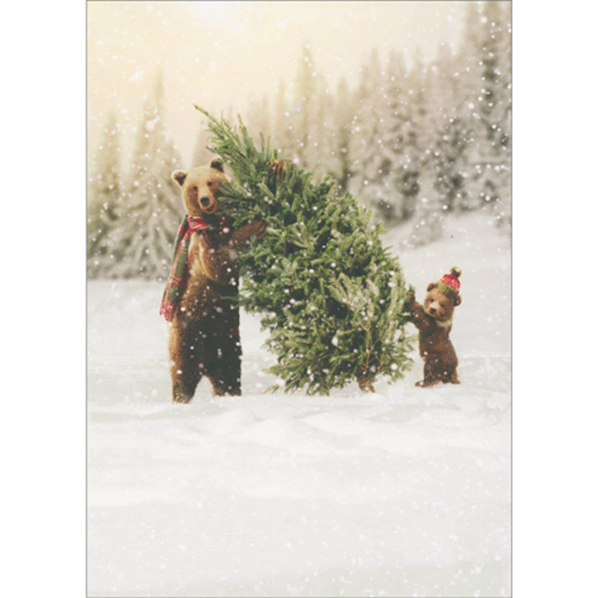 front of card is a mama bear wearing a plaid scarf and a baby bear wearing a red beanie holding a christmas tree in the snow