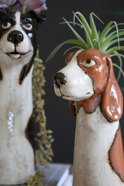 Close up of brown and white dog planter with succulent in it.